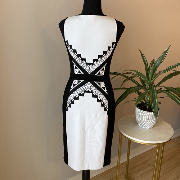 Joseph Ribkoff Bodycon Dress - Picture 7 of 9